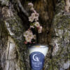 Sakura candle in tree trunk