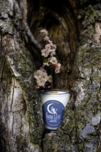 Sakura candle in tree trunk