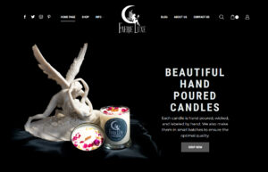 Website launch