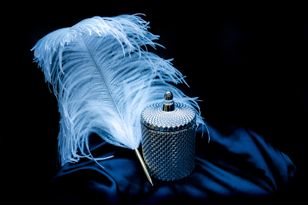 SilverLuxe Feather2